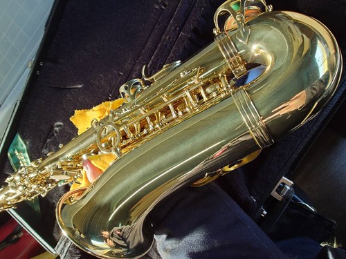 Saxophone alto selmer serie - saxophone,